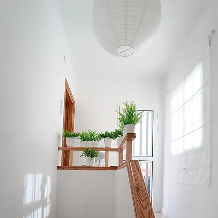Lägenhet Center Cruz, Centrico Con Gran Terraza, Cocina , Salon Y Banos, Todo Privado *
