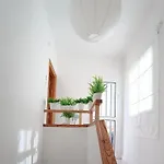 Appartement Center Cruz, Céntrico Con Gran Terraza, Cocina , Salón Y Baños, Todo Privado *
